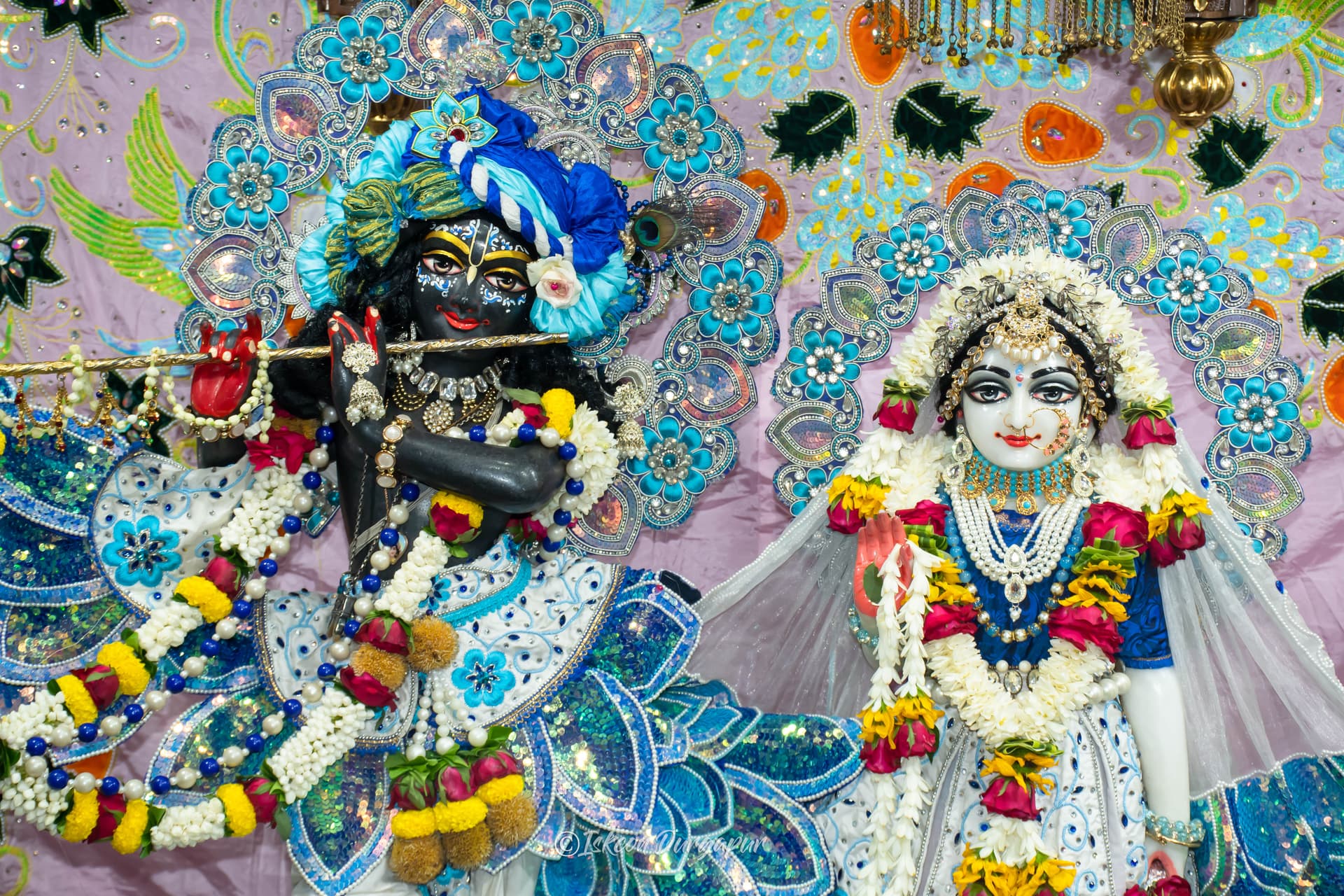 Gallery Image from General