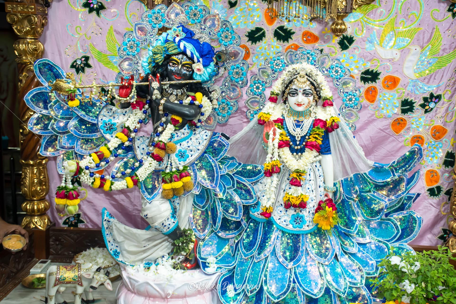 Gallery Image from General