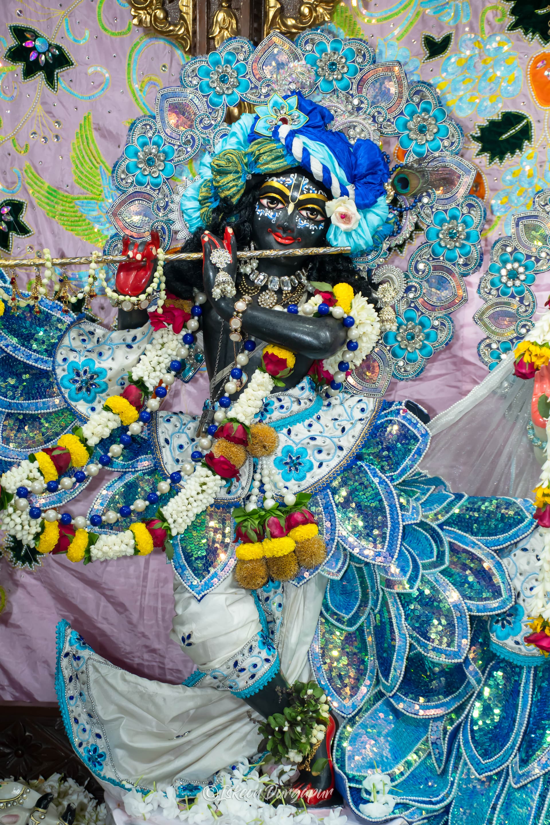 Gallery Image from General