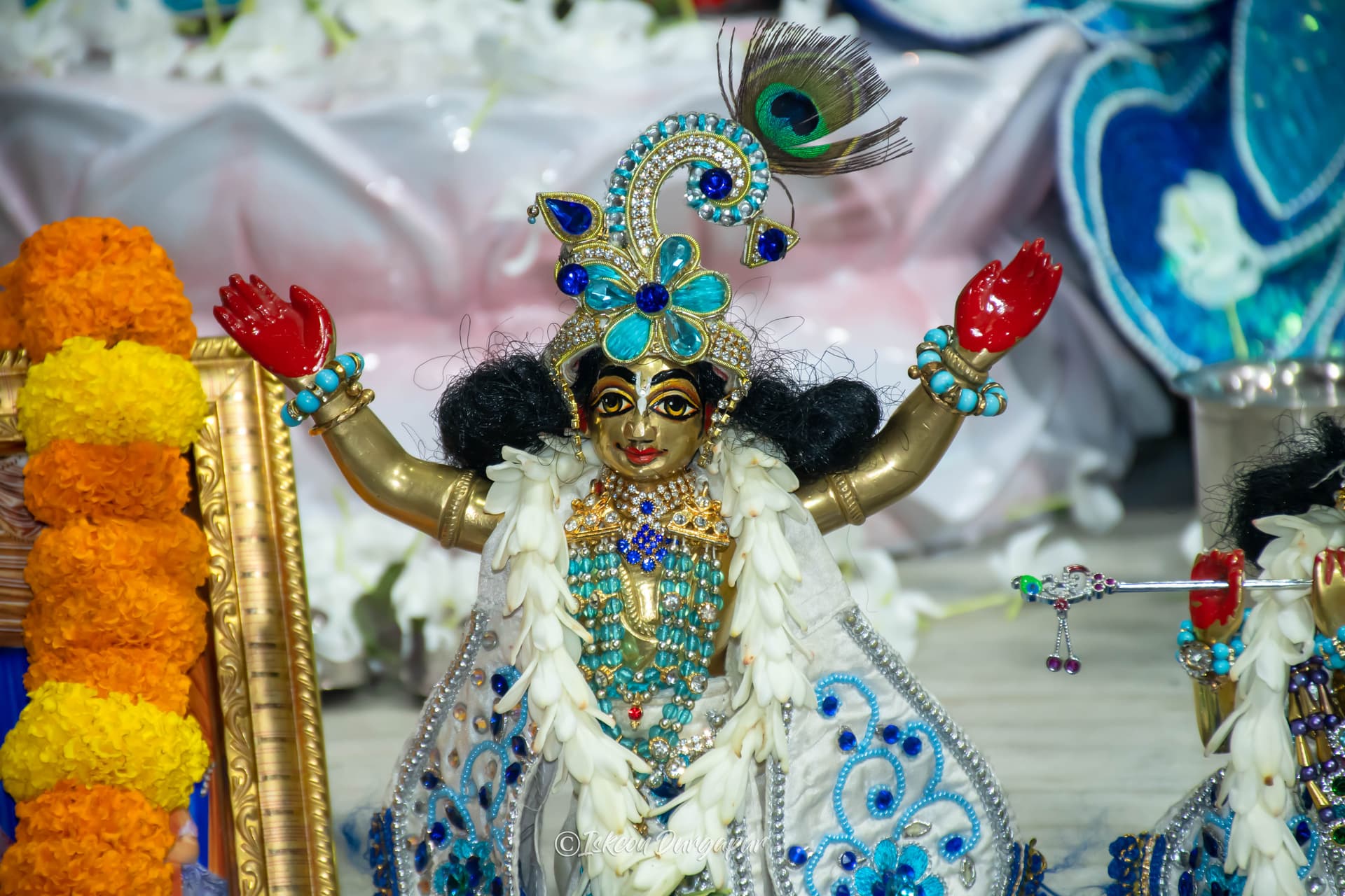 Gallery Image from General