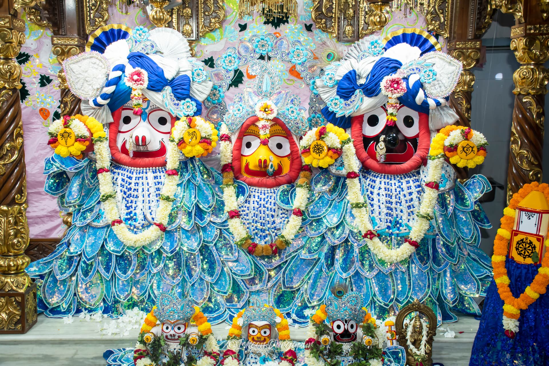 Gallery Image from General