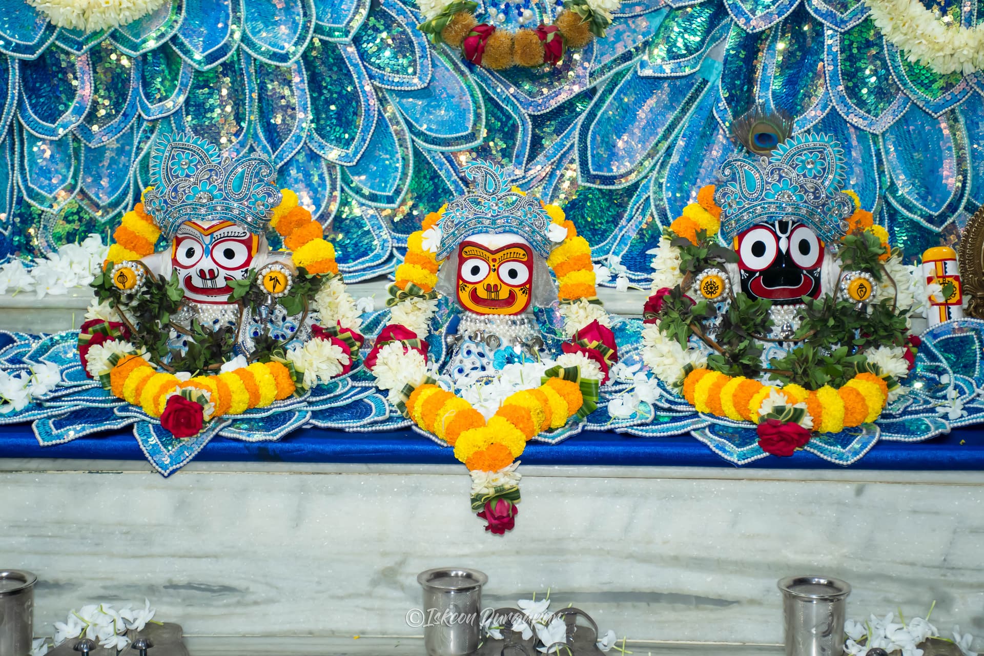 Gallery Image from General