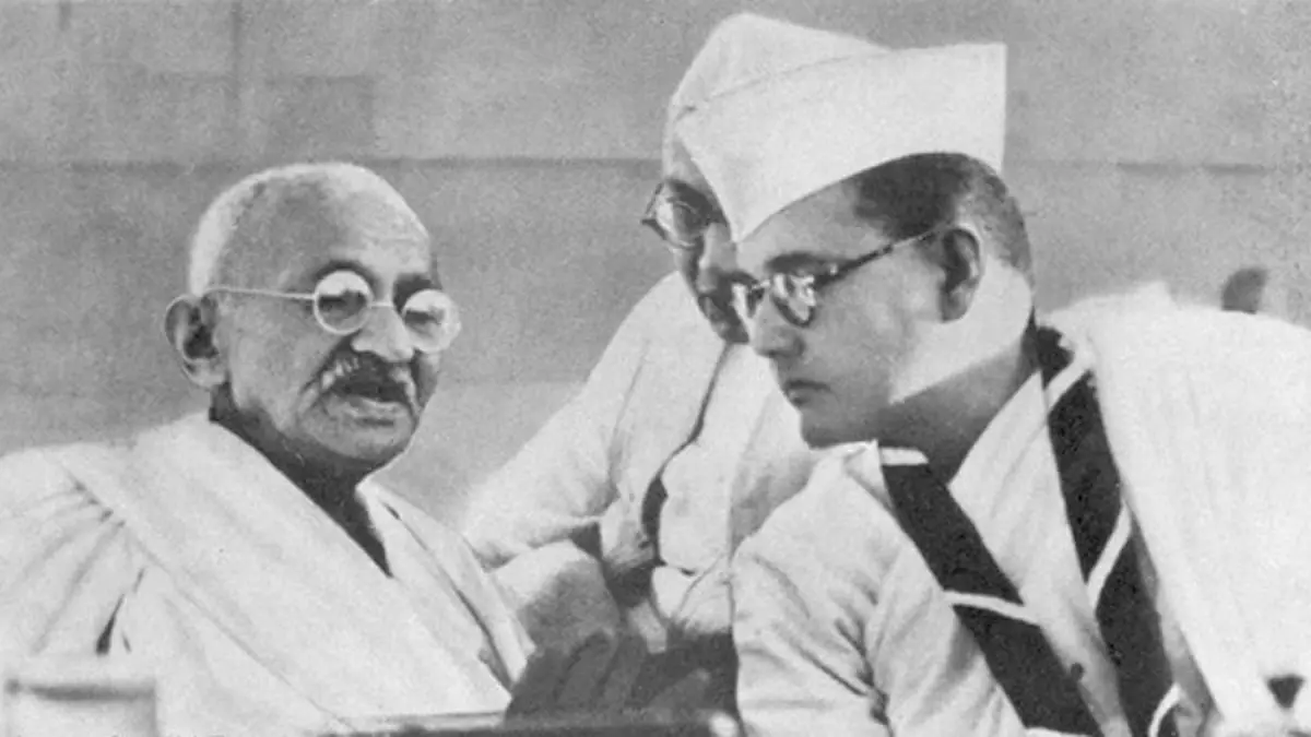 Manager at Bose Laboratory